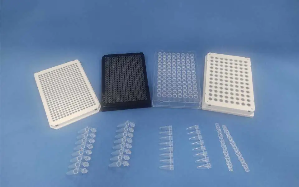 Le piastre e i tubi PCR possono essere utilizzati con PCR in tempo reale?